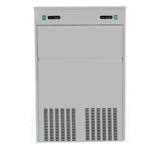 Ice maker